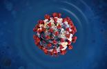 close up of the covid-19 virus