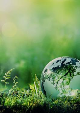 Green earth, forest and leaves - B2B2S