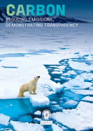Polar bear on melting ice