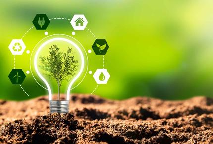 Green light bulb